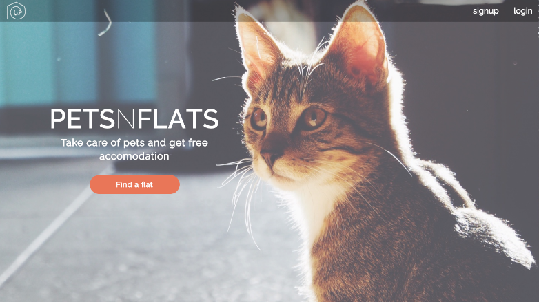 petsnflats