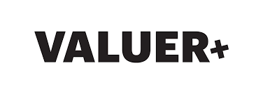 Valuer.ai