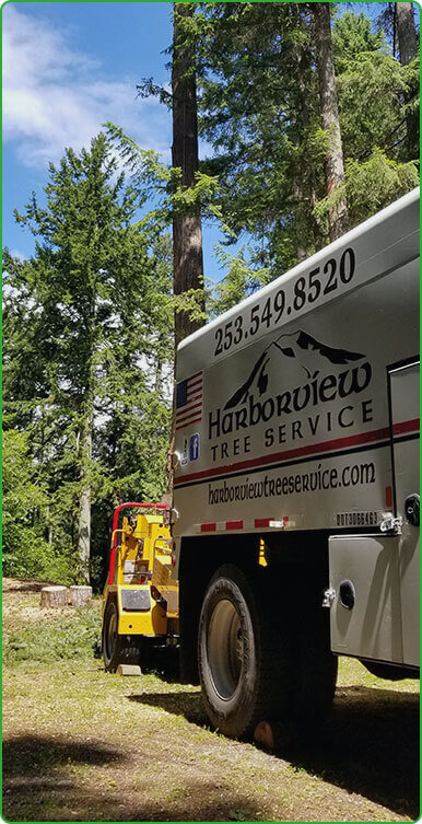 Harborview Tree Service