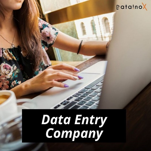 Datainox - Offline and Online Data Entry Services