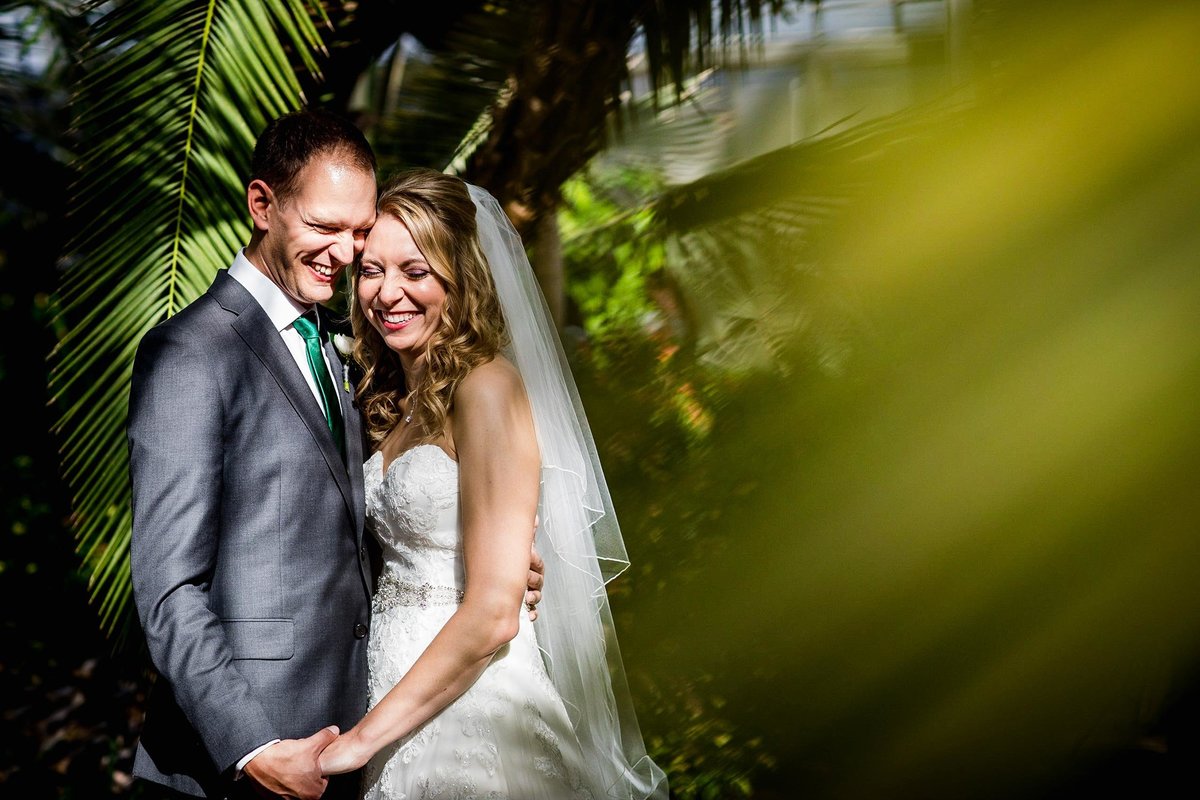 Allison Williams Photography