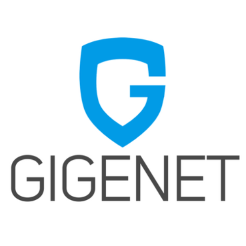 GigeNet