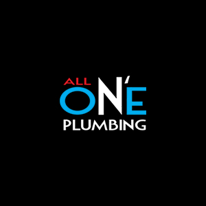 All N' One Plumbing Inc