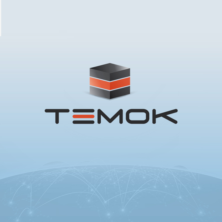 Temok IT Services