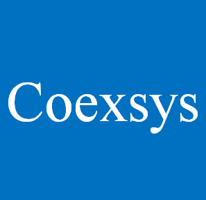 Coexsys Project Time Tracking Cloud