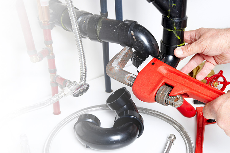 Zoom Plumbing Inc Startup Roulette