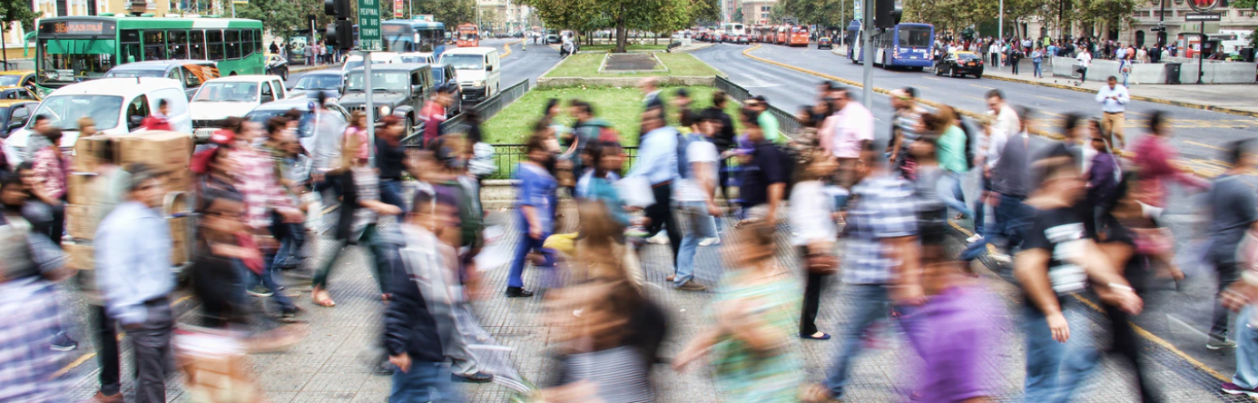 Custom Travel Solutions