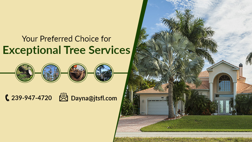 Johnson’s Tree Service & Stump Grinding Inc.