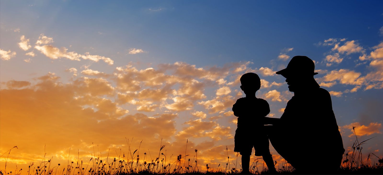 M. Scott Gordon & Associates