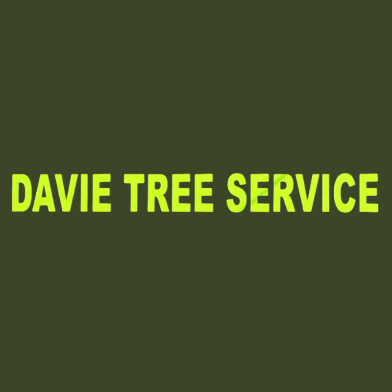 Davie Tree Service