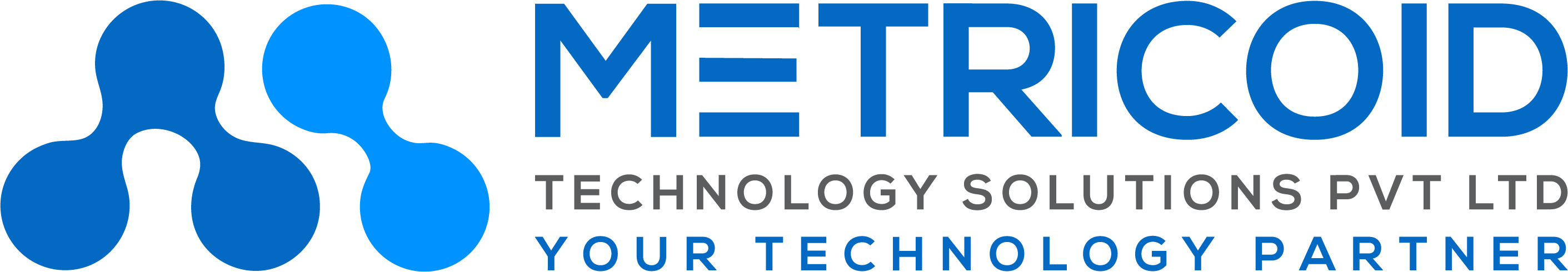 Metricoid Technology Solutions