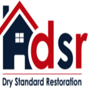Dry Standard Restoration LLC