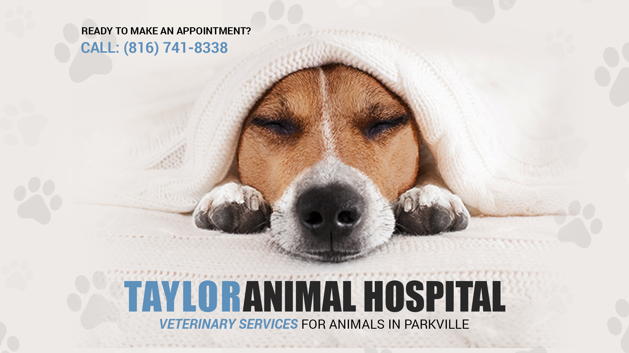 Taylor Animal Hospital of Parkville