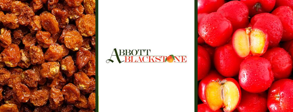 Abbott Blackstone Co. 