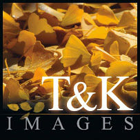 T&K Images - Fine Art Photography