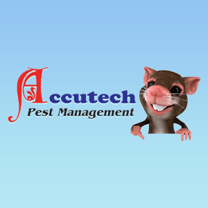 Accutech Pest Management