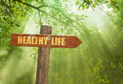 Eternal Health Wellness Acupuncture Center