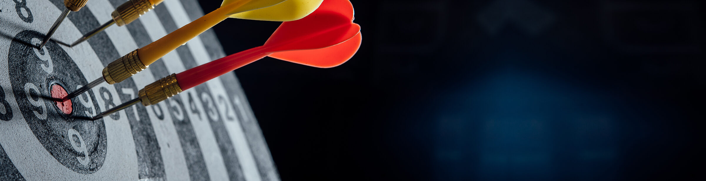 Twisted Tiger Marketing