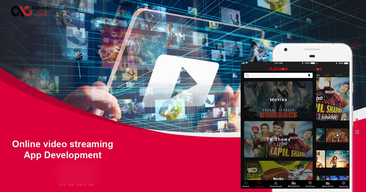 Netflix Business Model