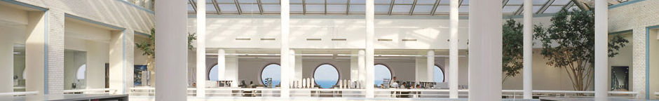 Caffarelli & Associates Ltd.