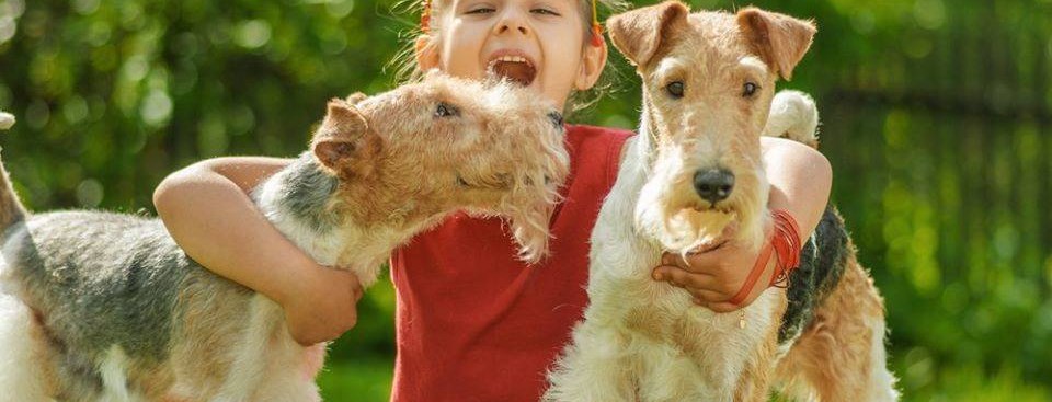 Anthony Jerone Dog Trainer