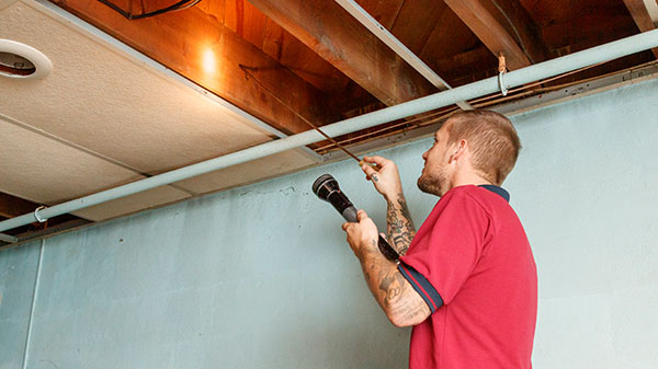 Kirchner’s Pest Control