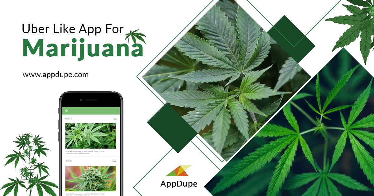 The Best On-Demand Cannabis App Development Solutions