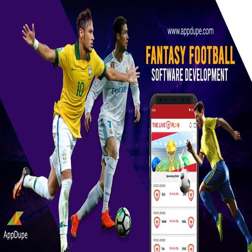 Fantasy sports game development