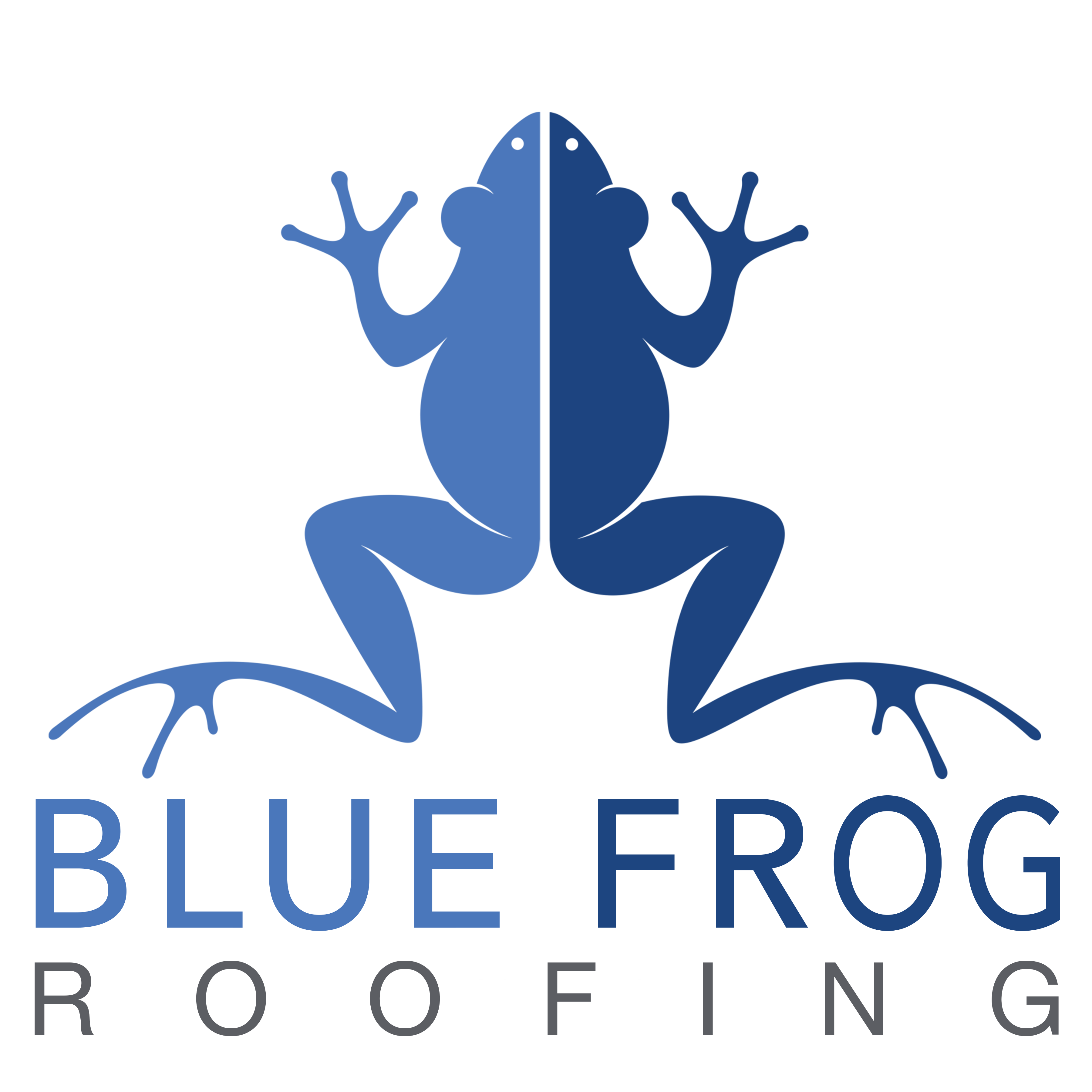 Blue Frog Roofing Limited