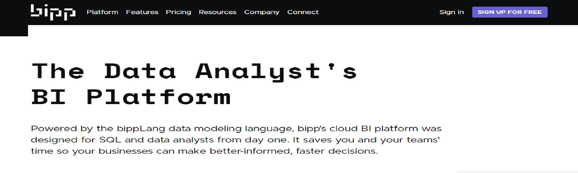 bipp Analytics