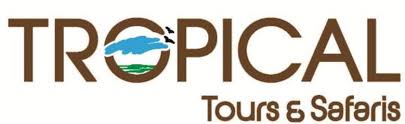 Tropical photo tours 