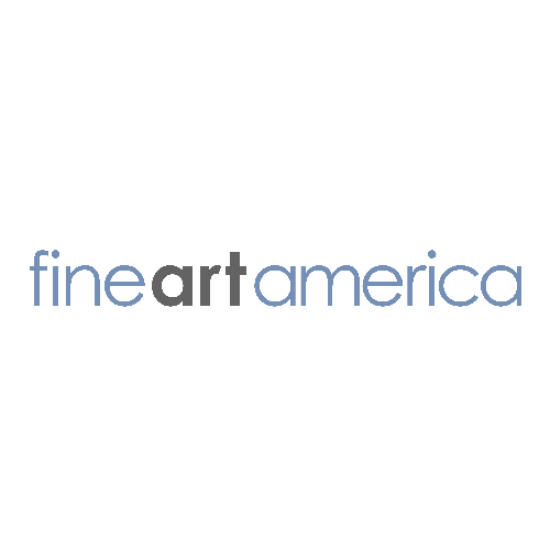 Fine Art America