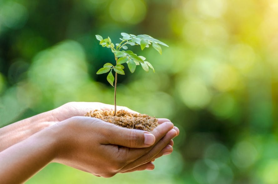 Eco Green Natural Window Cleaning